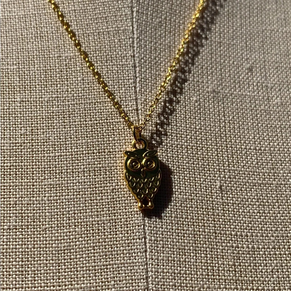 NWT Sterling Silver Plated Chain & Alloy Owl Charm Necklace - Picture 5 of 11